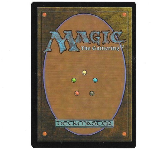 MTG Delina, Wild Mage - SHOWCASE * Adventures in the Forgotten Realms * Rare *