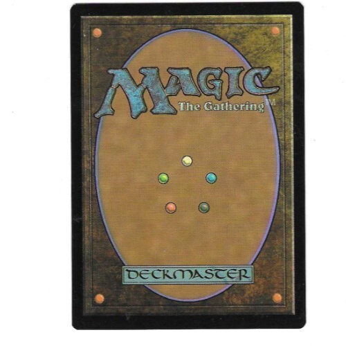 MTG Delina, Wild Mage - FOIL * Adventures in the Forgotten Realms * Rare *